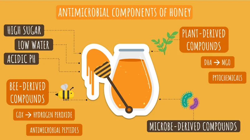 ترکیبات عسل چیست؟